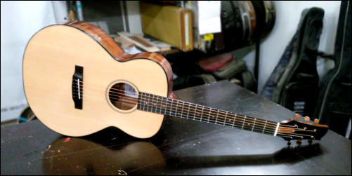 Custom Sedgwick Guitar