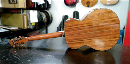 Sedgwick Custom Guitar