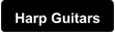 Harp Guitars